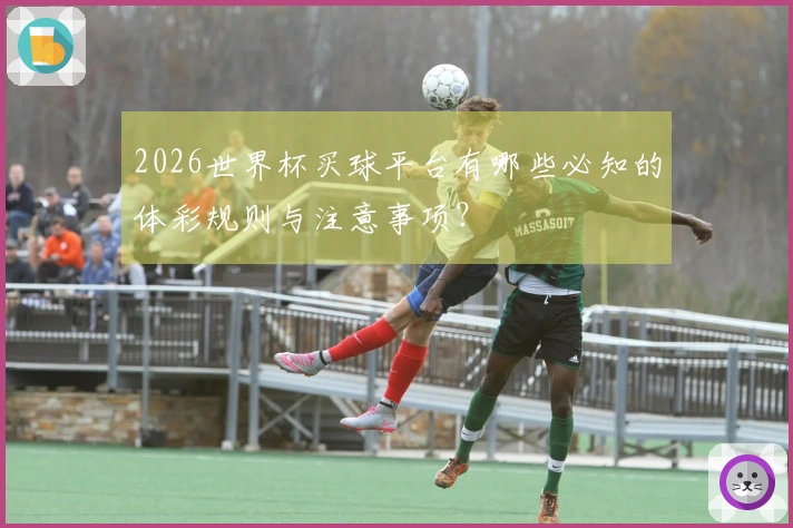 2026世界杯买球平台有哪些必知的体彩规则与注意事项？